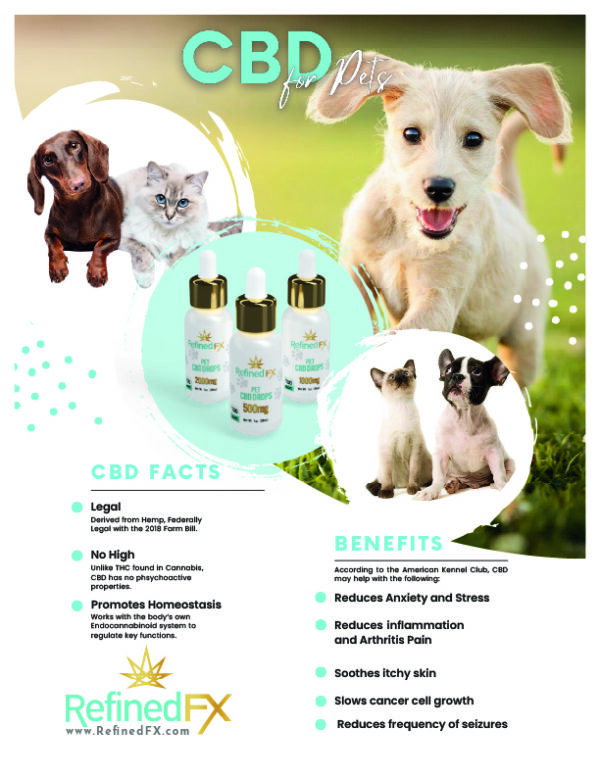 Large Pet CBD Drops - 2000mg - Image 4